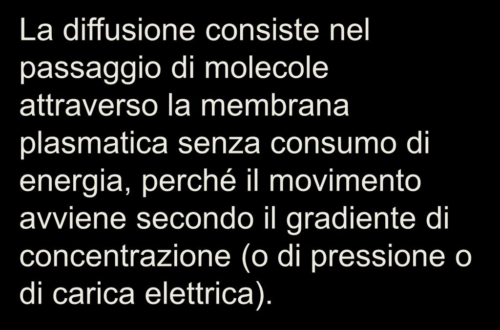 Le cellule dei tessuti sono circondate dal liquido extracellulare che è molto diverso per composizione e concentrazione di soluti rispetto al citoplasma La diffusione consiste nel passaggio di