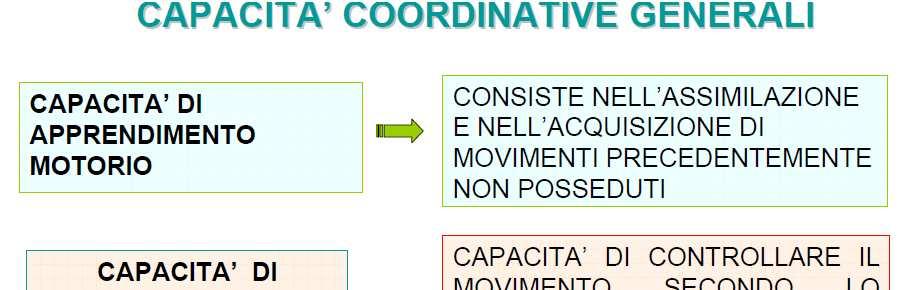 2 CAPACITA COORDINATIVE Rispetto ai fondamentali Capacità di organizzare e regolare il