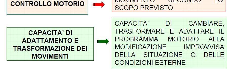 Il primo raggiunge il suo massimo dopo lo sviluppo completo delle seconde.