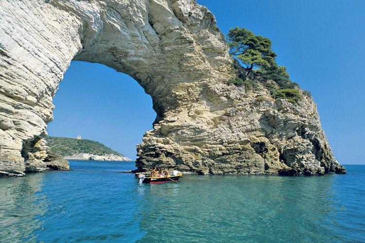 1 giorno litorale garganico Colazione a bordo con cornetti caldi al risveglio, partenza a seguire.