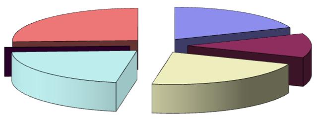 Pavimenti 5 670 22% Ponti Termici 29 0% Muri Ventilazione 6 723 26% TOTALE 26 243 100% Pavimenti Tetto/solai COMPUTO METRICO Opere detraibili non detraibili Ponteggio (700 mq.