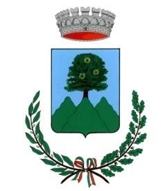 Comune di Agerola Provincia di Napoli * SETTORE 3 LAVORI PUBBLICI E AMBIENTE DETERMINAZIONE n. 78 del 16 giugno 2015 n. del REGISTRO GENERALE Oggetto: Contratto Rep.