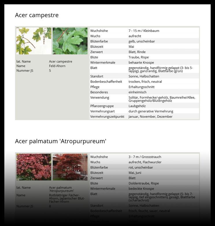 ESPORTARE & SCARICARE Esportare un PDF ampliato genera schede da archiviare, che contengono sia le immagini, come anche i nomi