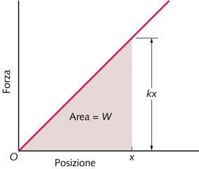 Il lavoro della forza elastica Forza elastica F =