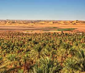 PORTE DEL DESERTO TRA OASI LUSSUREGGIANTI E DEDALI DI ANTICHE CASBAH.