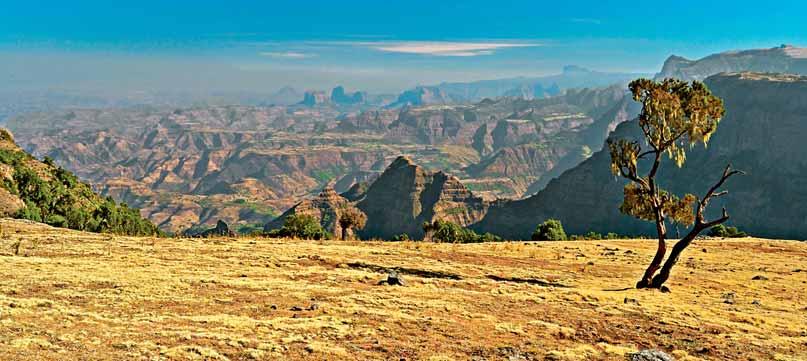 SUDAN Gondar Bahar Dar ERITREA Axum Addis Abeba 9 giorni KENYA Lalibela ETIOPIA YEMEN SOMALIA Supplemento singola: da 190 Supplemento minimo 2 persone: 430 Spese visto: USD 50 (si paga, anche in