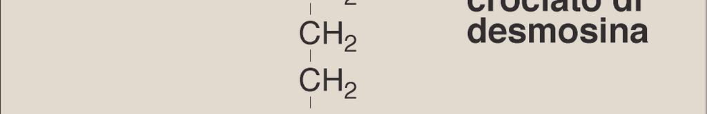 extracellulare dove interagisce con una glicoproteina, la