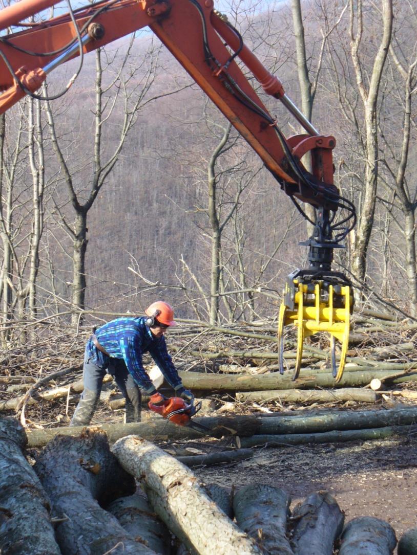 Conclusioni Vantaggi della formazione Tecnico - conoscenze tecniche fondamentali Culturale patrimonio dei valori delle persone Etico promuovere la formazione è compito