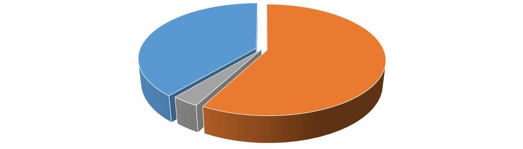 Non dichiarato; 0; 3% Maschi Femmine Non dichiarato Figura 2: Distribuzione