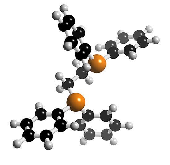 Figura 40 Struttura della