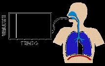 La spirometria è un test fisiologico che misura come un individuo inspira ed espira volumi di aria in