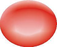 Globulo rosso 8 µm aspetto morfologico a disco biconcavo la forma del globulo