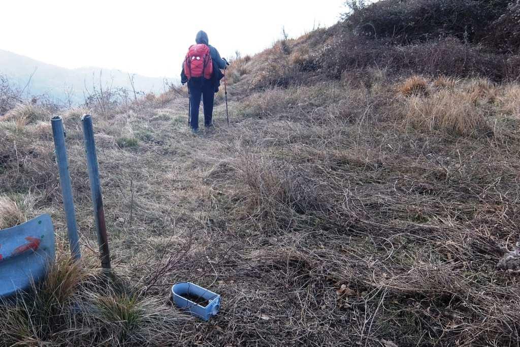 inverno le piante infestanti sono un problema.