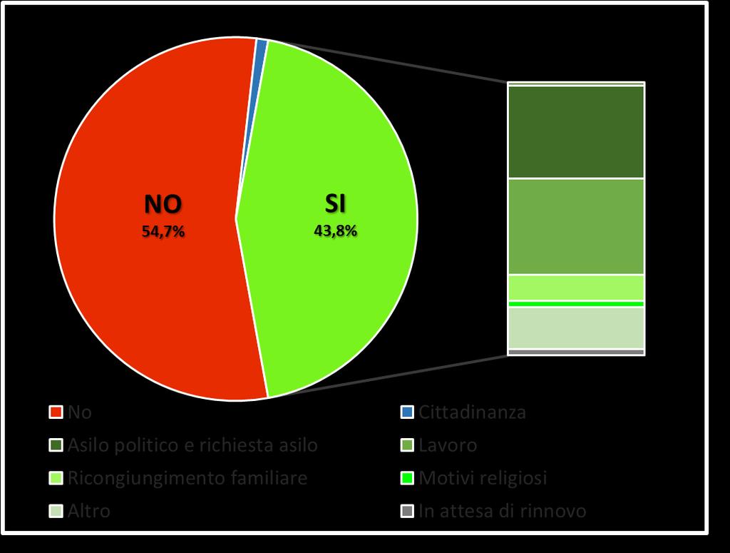 PERCORSI ASSISTENZIALI Irregolari/Clandestini: 54,7% CODICE STP/ENI: