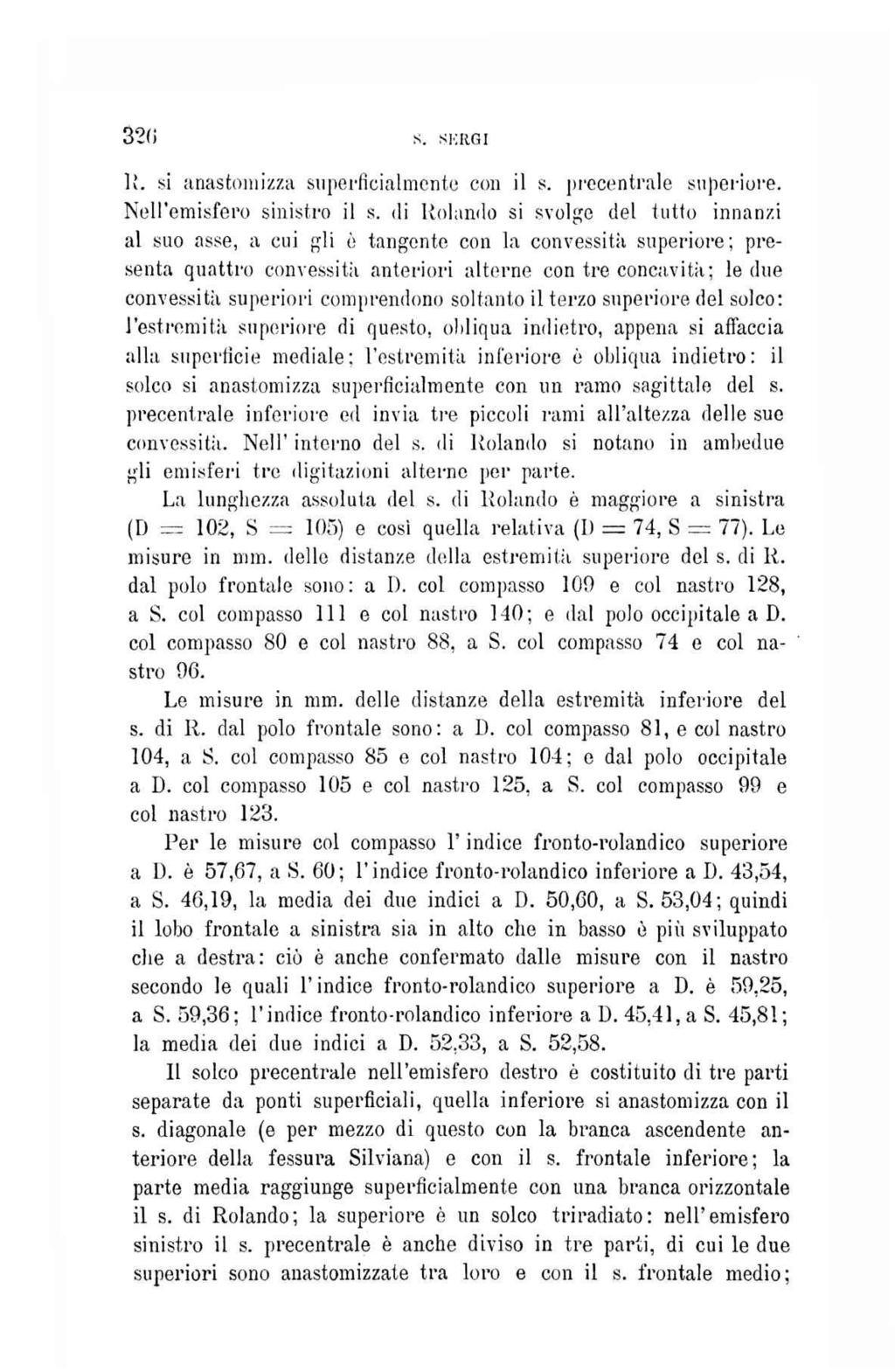 32«S. SKRGI R. si anastomizza superficialmente con il s. precentrale superiore. Nell'emisfero sinistro il s.