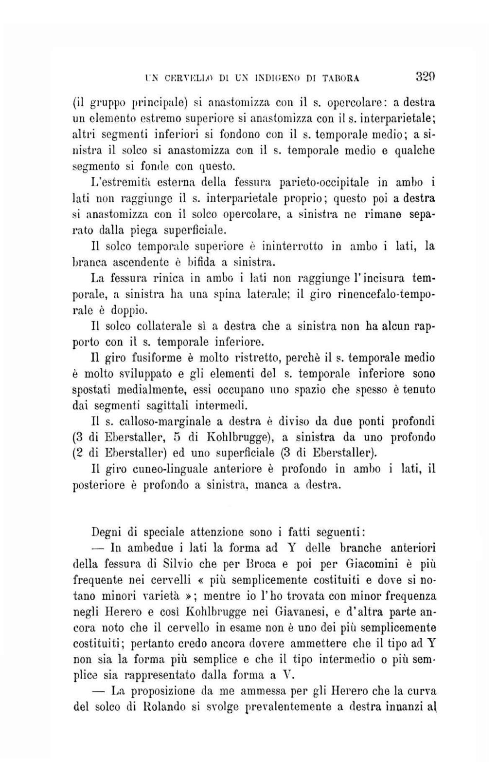 UN CERVELLO DI UN INDIGENO DI TABORA 329 (il gruppo principale) si anastomizza con il s. opercolare: a destra un elemento estremo superiore si anastomizza con il s.