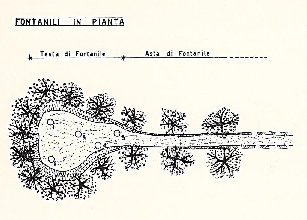 SCHEMA