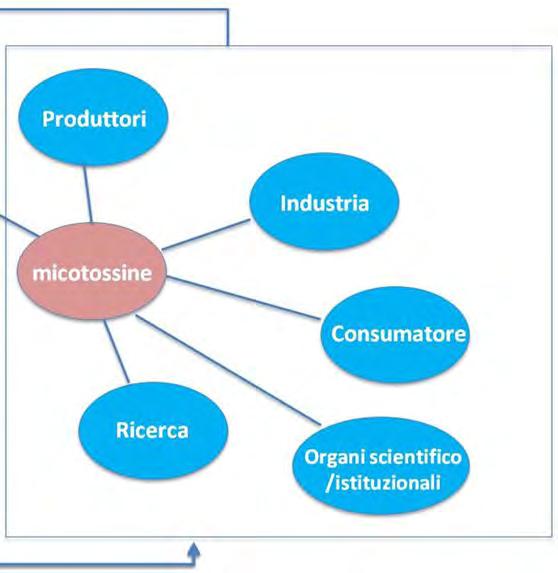 LE MICOTOSSINE: oltre la sicurezza alimentare ALCUNE TEMATICHE INNOVATIVE PER LA RICERCA Co-contaminazione e micotossine modificate Modelli in vitro per la valutazione della