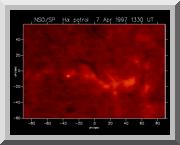 I Brillamenti I Brillamenti sono chiamati anche