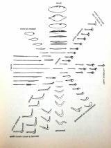 fenomeni naturali dell evoluzione.