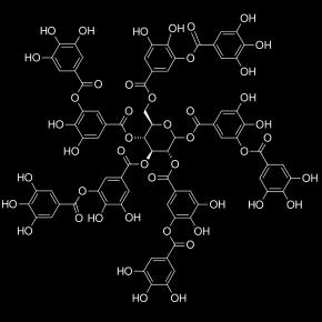 Esp.2: DETERMINAZIONE DEI POLIFENOLI NEL VINO MEDIANTE SPETTROFOTOMETRIA UV-VISIBILE Polifenoli: fenoli semplici,