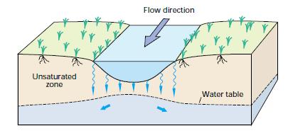Se le acque sotterranee scendono sotto i livelli delle acque superficiali, l alimentazione