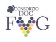 MIPAAF - Piano dei controlli vini DOP/IGP (1/2) Il sistema telematico SIAN dovrà incorporare le attuali