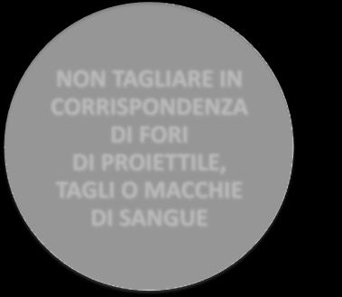 DI FORI DI PROIETTILE, TAGLI O