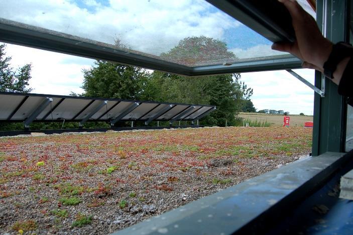 PROPRIETA DEI PRINCIPALI SISTEMI A VERDE PENSILE - Tipologie TAPPETO DI SEDUM E la soluzione più diffusa per quanto riguarda le coperture estensive.