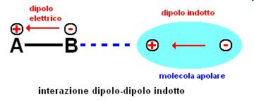 molecole dotate di dipolo interagiscono Interazione dipolo-dipolo