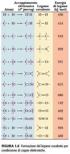 Energie di legame di legami covalenti importanti Il carbonio condivide una coppia di elettroni con un altro carbonio e forma legami singoli C-C molto stabili (343 kj mol- 1 )