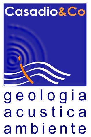 CASADIO & CO. studio tecnico associato Via V.Veneto 1/bis 47100 FORLI Tel: 0543 23923 Email: studio@casadioeco.it P.I. 03480110406 RELAZIONE GEOLOGICA E GEOTECNICA APPROFONDIMENTO SUI CEDIMENTI PER ADDENSAMENTO Committente: Imm.