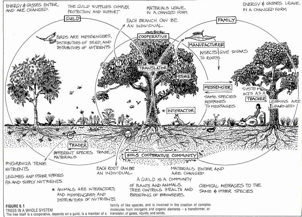 il terreno: la pelle