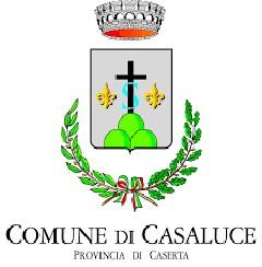 COMUNE DI CASALUCE PROVINCIA DI CASERTA PROGETTO DEFINITIVO ESECUTIVO Progetto di adeguamento ed efficientamento della pubblica illuminazione del comune di Casaluce