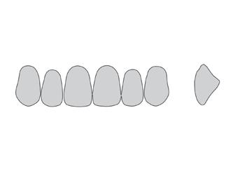 Anterior Moderni processi di produzione computerizzati garantiscono una simmetria sempre costante dei denti anteriori e posteriori di destra e di sinistra ed un corretto