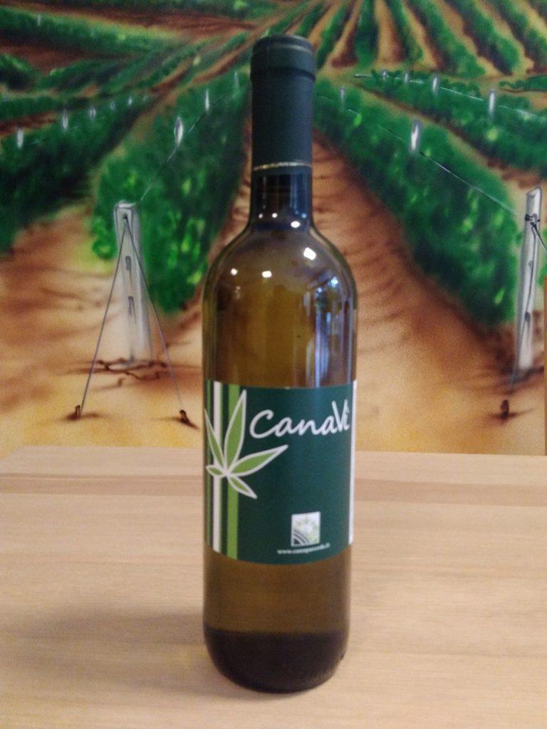 Il primo vino alla canapa italiano si chiama Canavì ed unisce il verdicchio prodotto dall azienda Monte Schiavo alla canapa coltivata nelle Marche da Alessio Amatori di