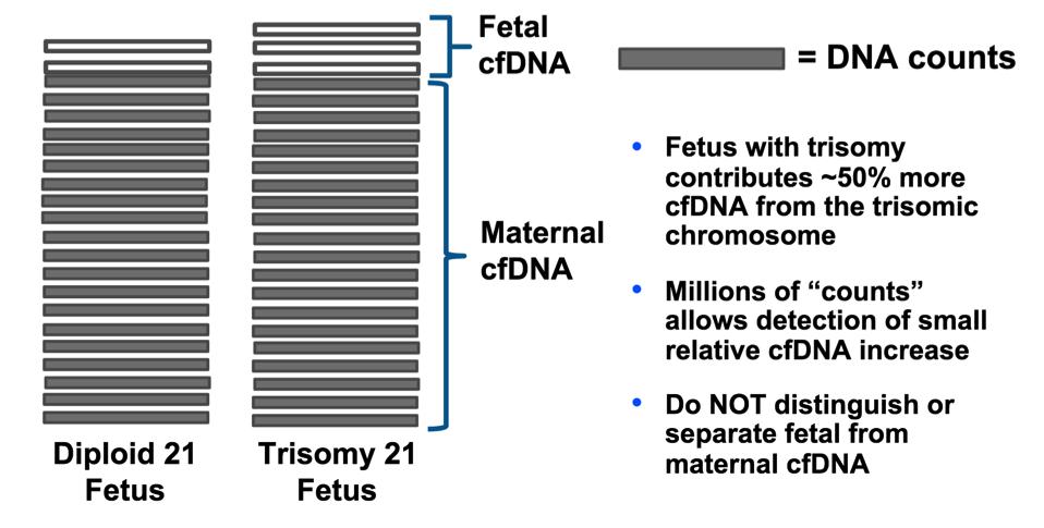 NIPT per le aneuploidie Conta delle sequenze Feto con