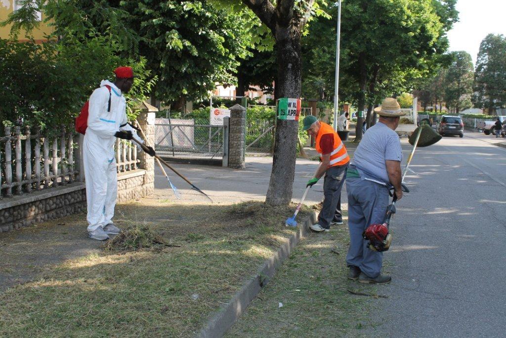 CURA DEI BENI COMUNI E