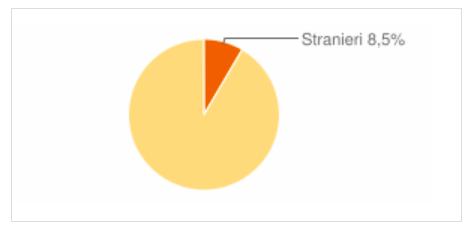 Quanta percentuale di popolazione rappresentano, per il nostro Paese? Sono l 8,5% della popolazione totale. Meno di 1 persona su 10.