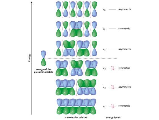 fase) Gli orbitali molecolari dell 1,3-Butadiene 4 orbitali atomici p possono combinarsi per fare 4 orbitali molecolari π, 2 di legame e 2 di