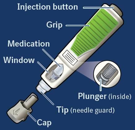 7. Istruzioni per l uso Le seguenti istruzioni spiegano come effettuare l iniezione sottocutanea di Cyltezo da soli utilizzando la penna preriempita.