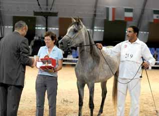 Abdeslam Bennani Smires breeder: Straight Arabians