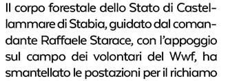 Diffusione: