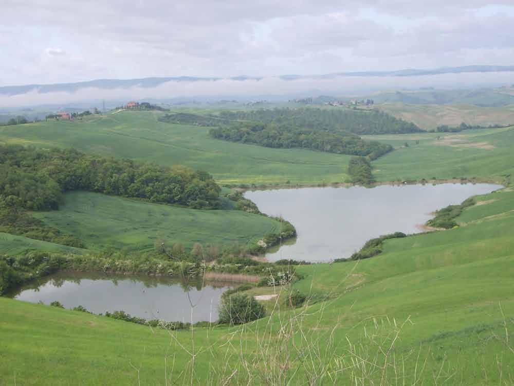 In Provincia di Siena Gli alimenti di origine