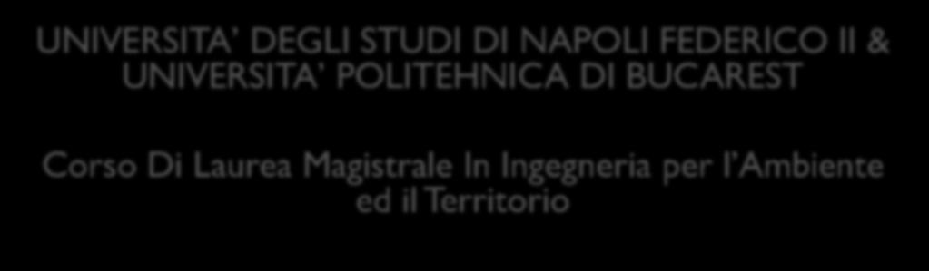 Magistrale In Ingegneria per l Ambiente ed il Territorio RELATORE: Prof.