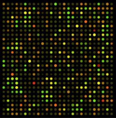 gruppi funzionali Polimeri micro- e nano-strutturati per applicazioni biomediche Processi di micro e nanostrutturazione