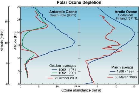 Twenty Questions and Answers about the Ozone
