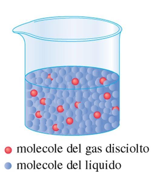 Solubilità di un gas in un liquido In questo caso il contributo entropico è NEGATIVO poichè il disordine del gas è minore quando il gas è disciolto in un liquido.