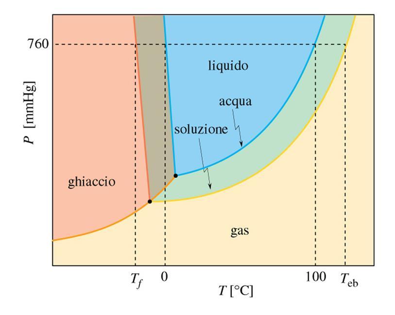 L aggiunta di un soluto ad un solvente modifica (abbassa) le curve della tensione di vapore.