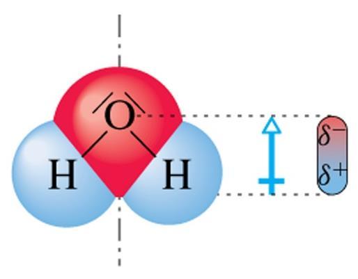 Cationi ed anioni attraggono il solvente ciascuno secondo la propria carica Le molecole di solvente,